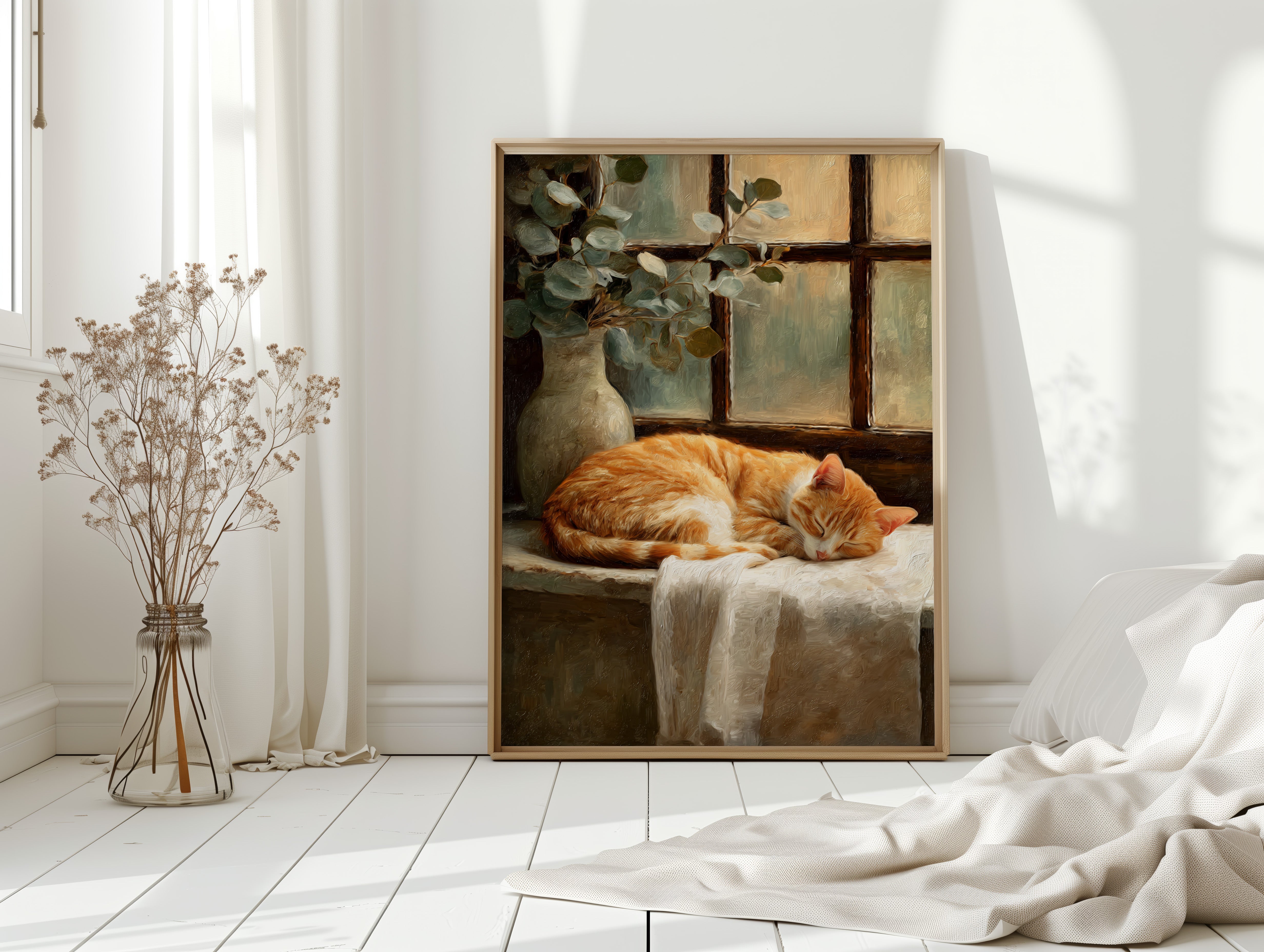 Naptime Beneath Sunlit Windows