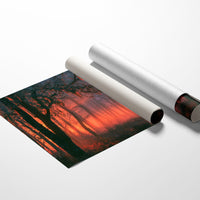 Forest Aglow In The Mist