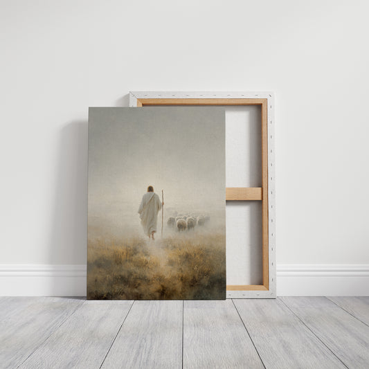 Guiding Light Through Misty Fields