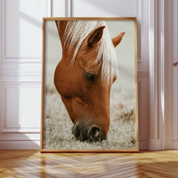 Graceful Graze and Golden Stillness