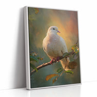 Dove Perches In Golden Hour