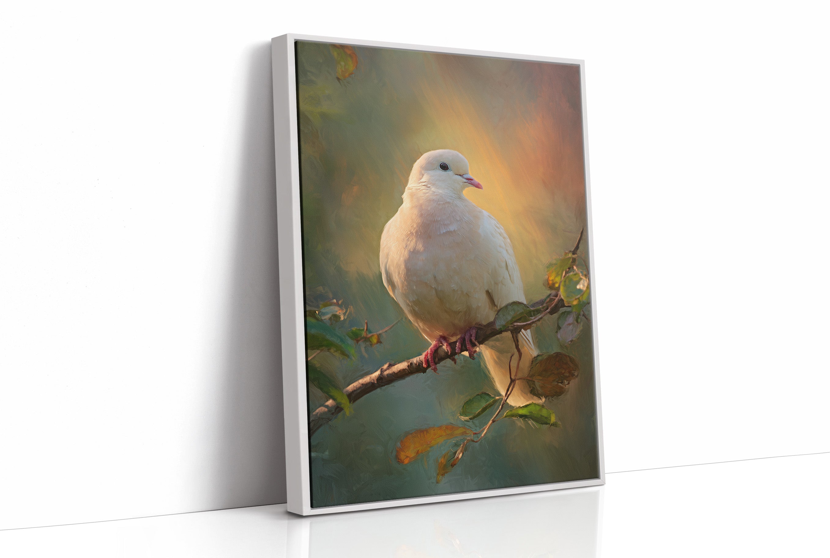 Dove Perches In Golden Hour