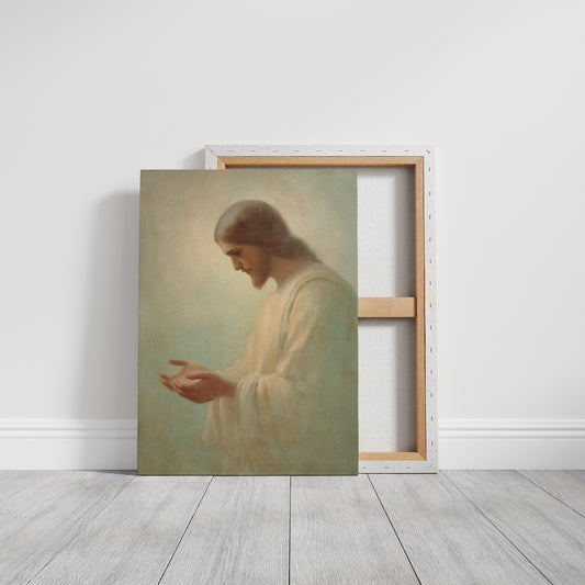 Ethereal Offering in Soft Light