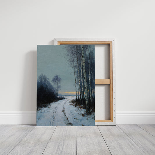 Pathway Through Winter's Embrace
