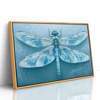 Frost-Blue Dragonfly Study