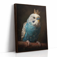 Royal Plumage In Midnight Court