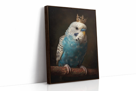 Royal Plumage In Midnight Court