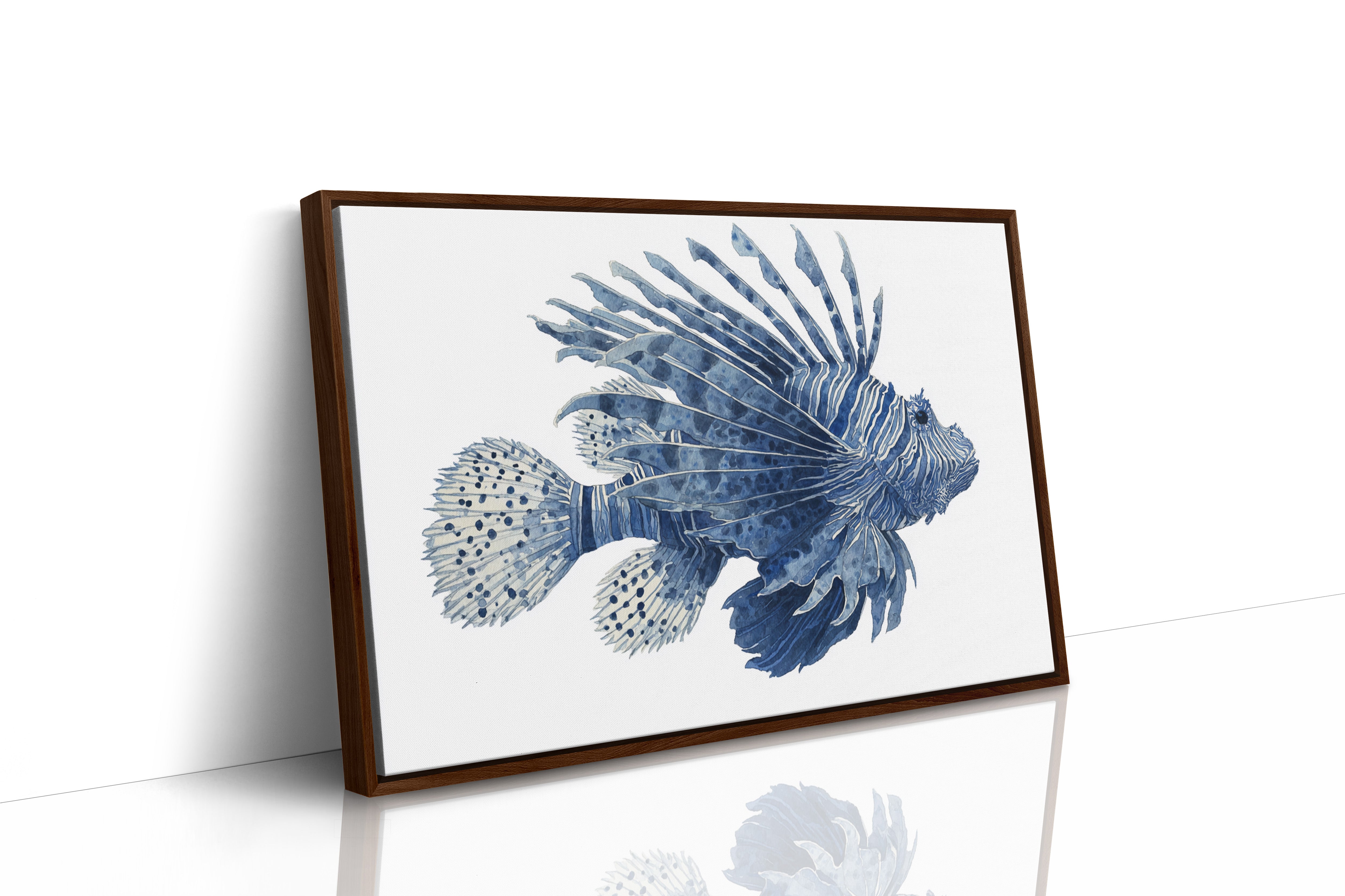 Ocean's Indigo Dancer Takes Flight