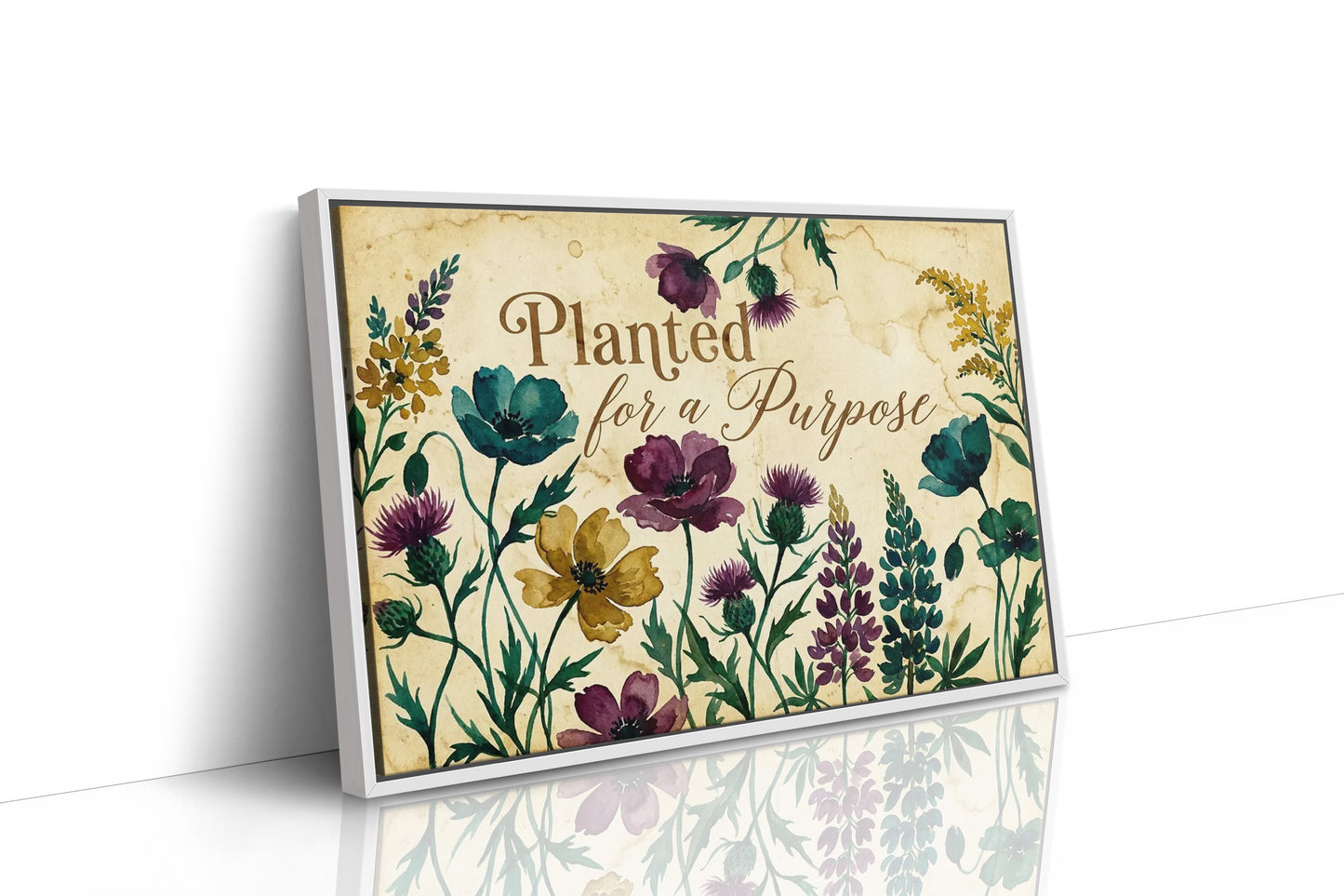 Planted for a Purpose