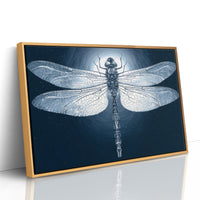 Dragonfly by Moonlight