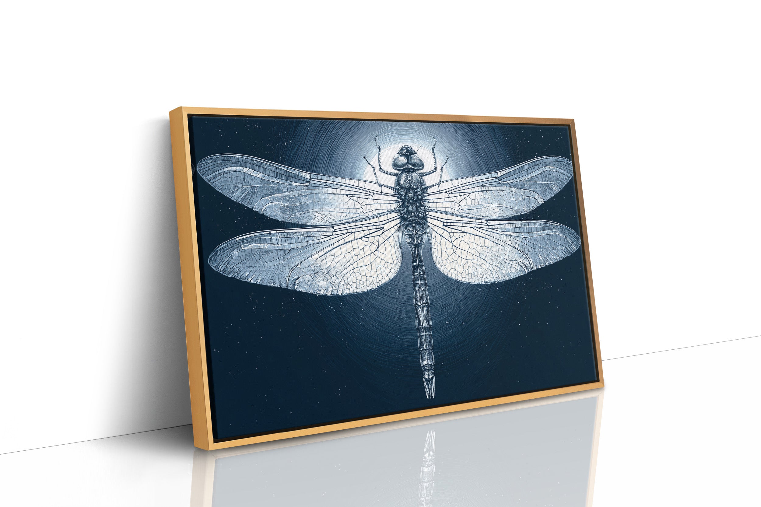 Dragonfly by Moonlight