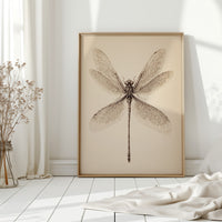 Elegance in Delicate Motion