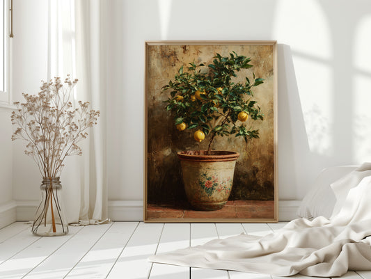 Harvesting Sunlight and Memories
