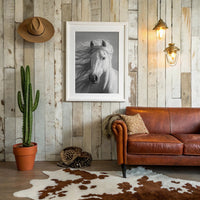 Wild Spirit Runs Through Silver Light