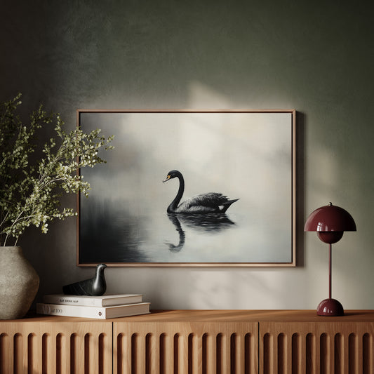 Black Swan Glides Through Morning Fog