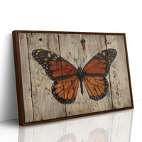 Weathered Wings Tell Summer Stories