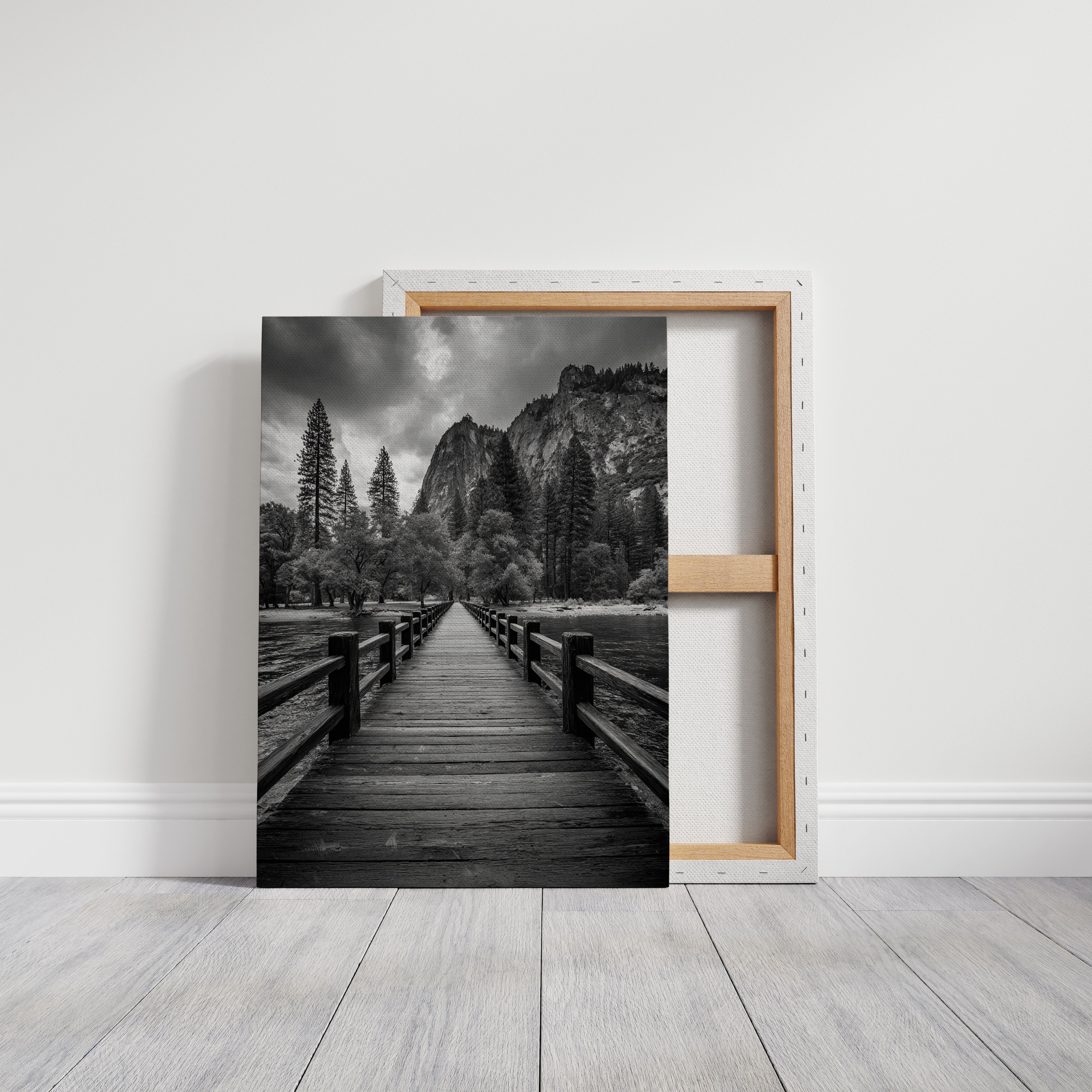 Journey Through Timbered Paths