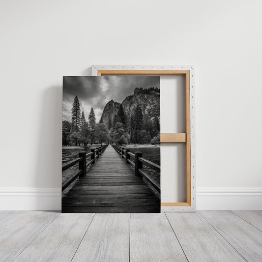 Journey Through Timbered Paths