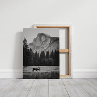 Beneath the Watchful Peak