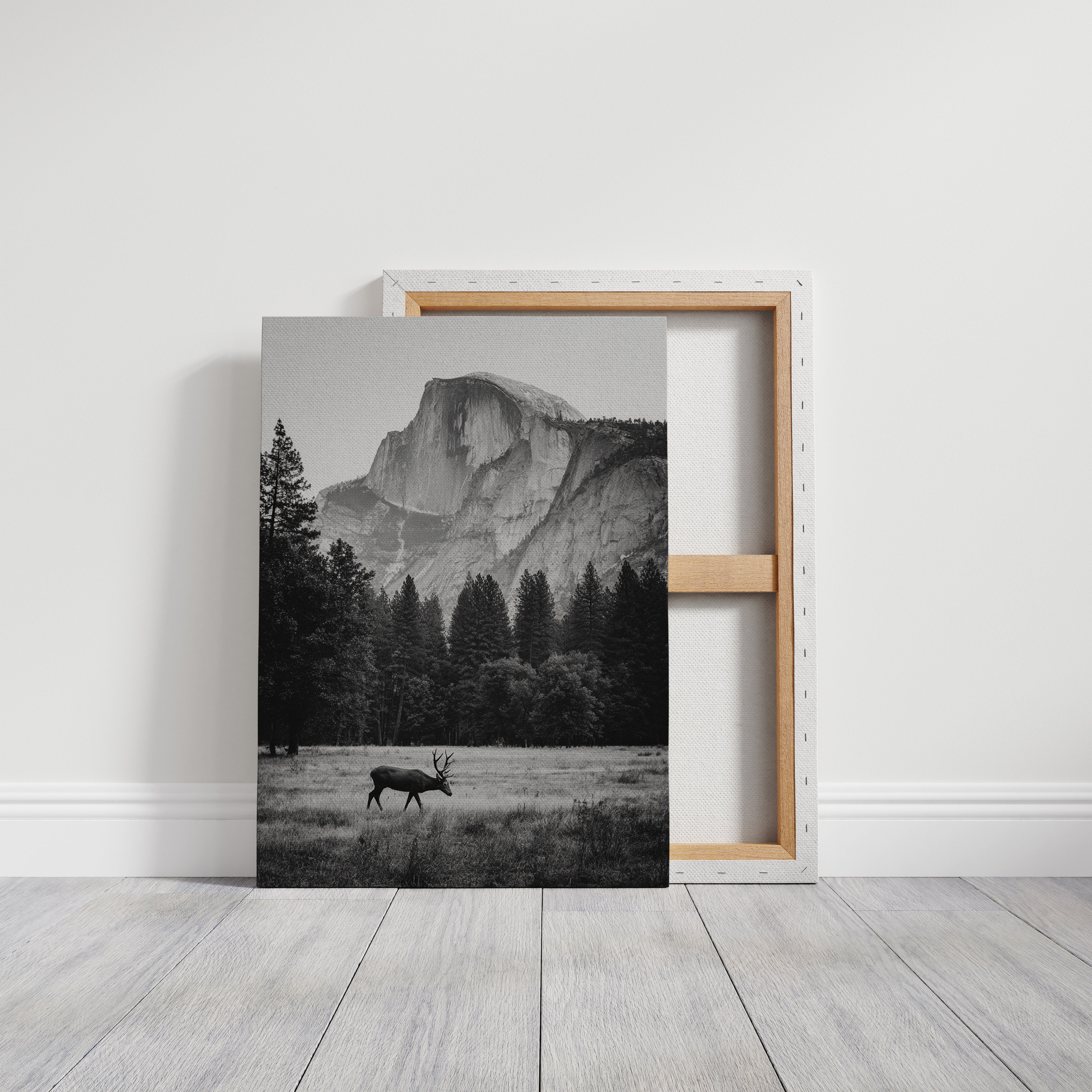 Beneath the Watchful Peak