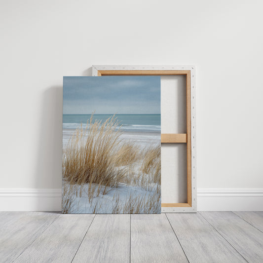 Tides That Kiss the Dunes