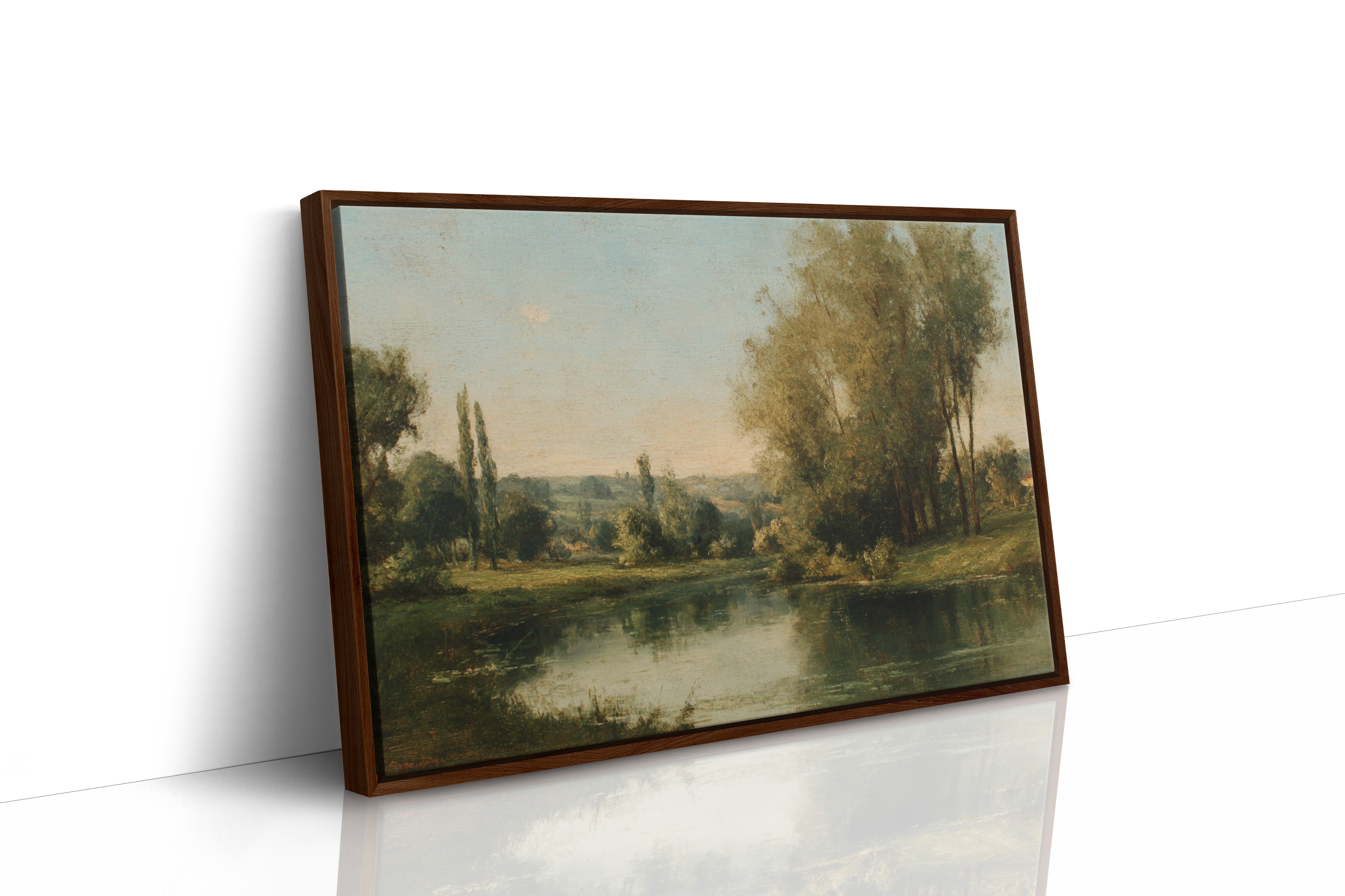 Poplars Mirror Summer's Gentle Light