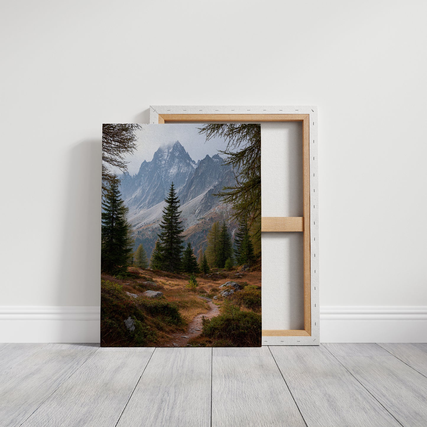 Through The Pines, A Journey Begins