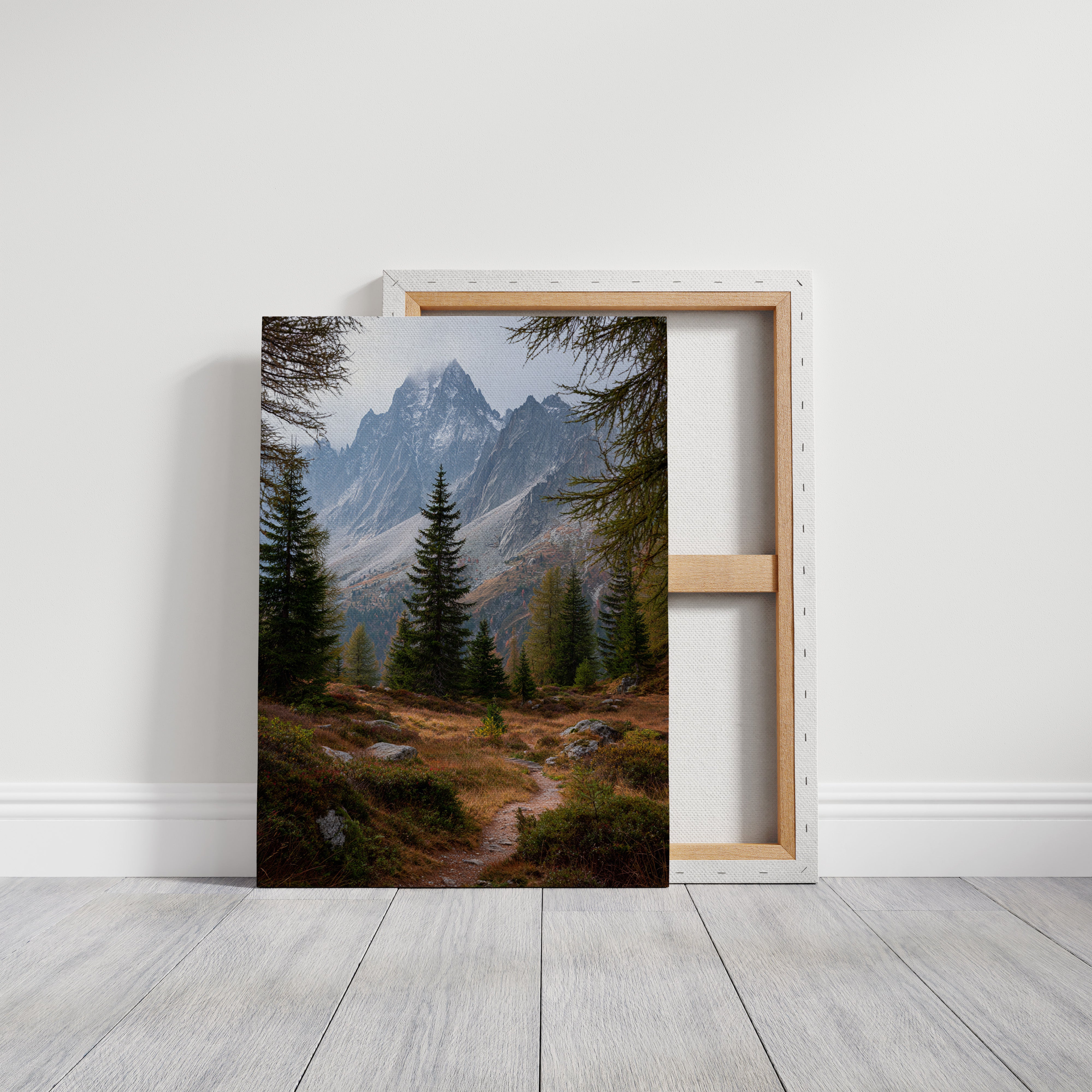 Through The Pines, A Journey Begins
