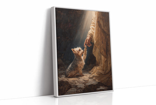 Faithful Companion Reaches For Light