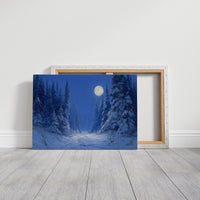 Frost Path Under Winter's Glow