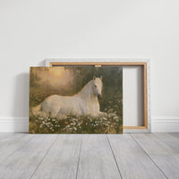 Daisies And A Quiet Horse