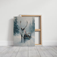 Journey Through Silent Snowscapes