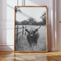 Highland Gaze in Black and White