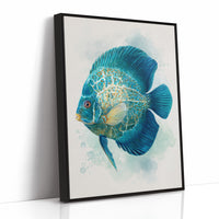 Sapphire Discus Whispers Secrets