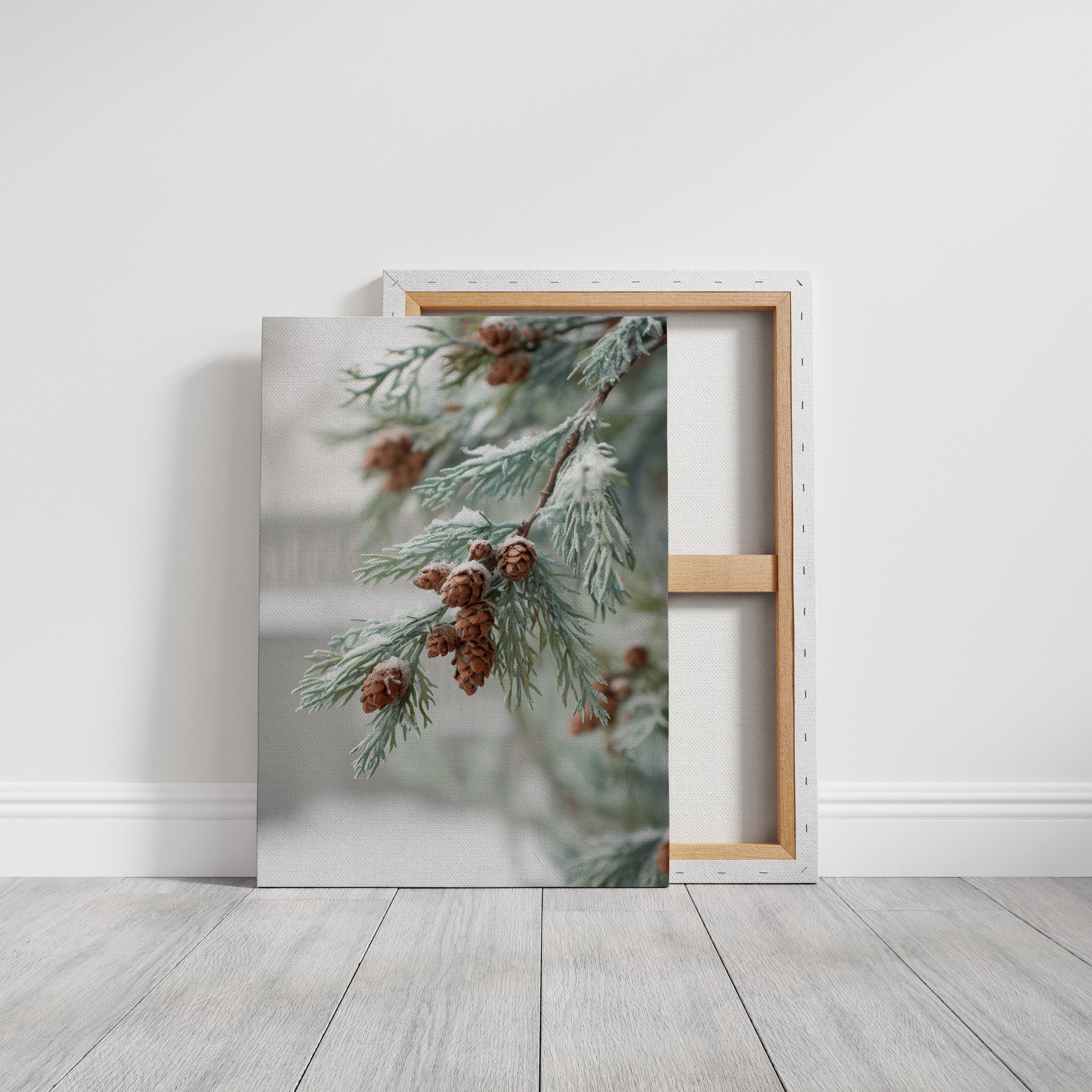 Frosted Pines Hold Their Secrets