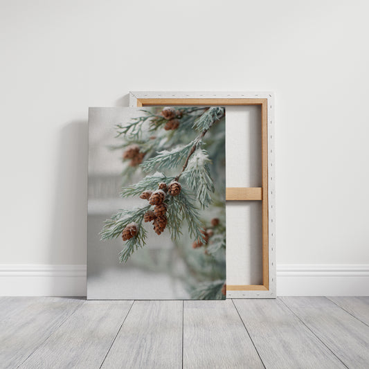 Frosted Pines Hold Their Secrets