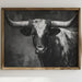 Longhorn Tales At Twilight Hour