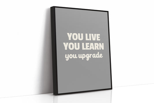 You Live You Learn You Upgrade