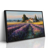 Provence Lavender at Golden Hour