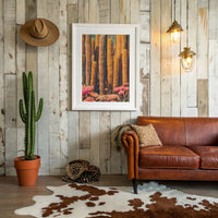 Saguaros Paint Their Desert Stories