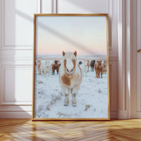 Fluffy Pony in Winter Herd