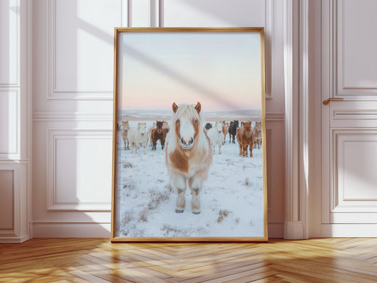 Fluffy Pony in Winter Herd
