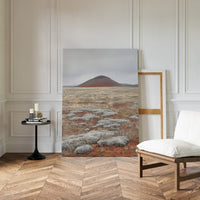 Red Mountain Meets Silver Sage