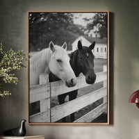 two horse at the ranch fence black and white