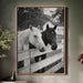two horse at the ranch fence black and white
