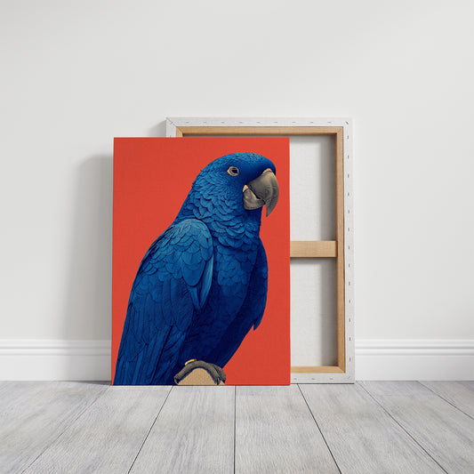 Cobalt Macaw Portrait