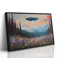 Cosmic Visitors Above Alpine Meadows