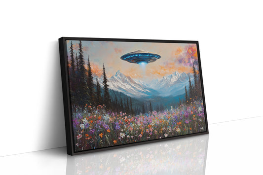 Cosmic Visitors Above Alpine Meadows