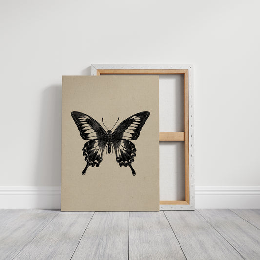 A Flutter Beneath Ancient Pages