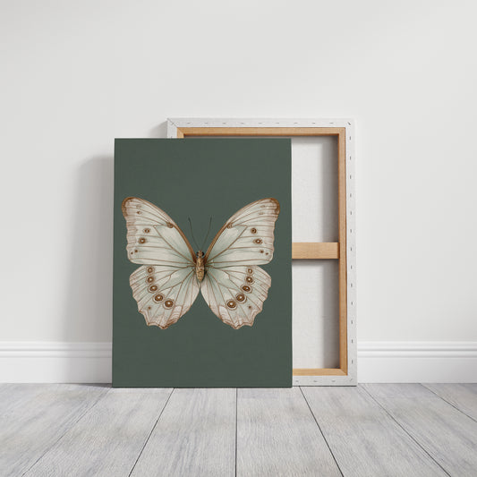 A Dance of Delicate Wings